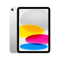 [14956466000] Apple iPad 256 GB Silber - 10,9" Tablet - 27,7cm-Display
