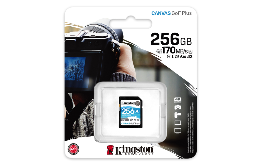 Kingston Canvas Go! Plus - 256 GB - SD - Klasse 10 - UHS-I - 170 MB/s - 90 MB/s