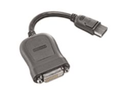 Lenovo 45J7915 - 0,2 m - DVI-D - DisplayPort