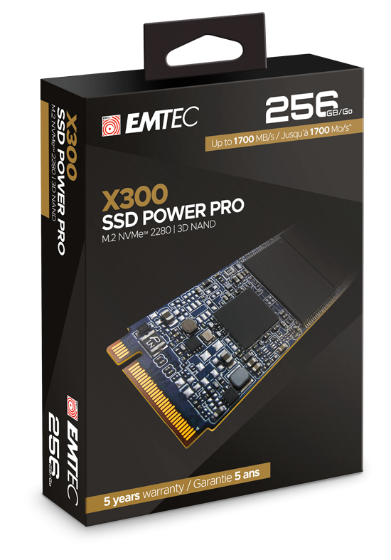 EMTEC X300 NVMe 256 GB - Solid State Disk