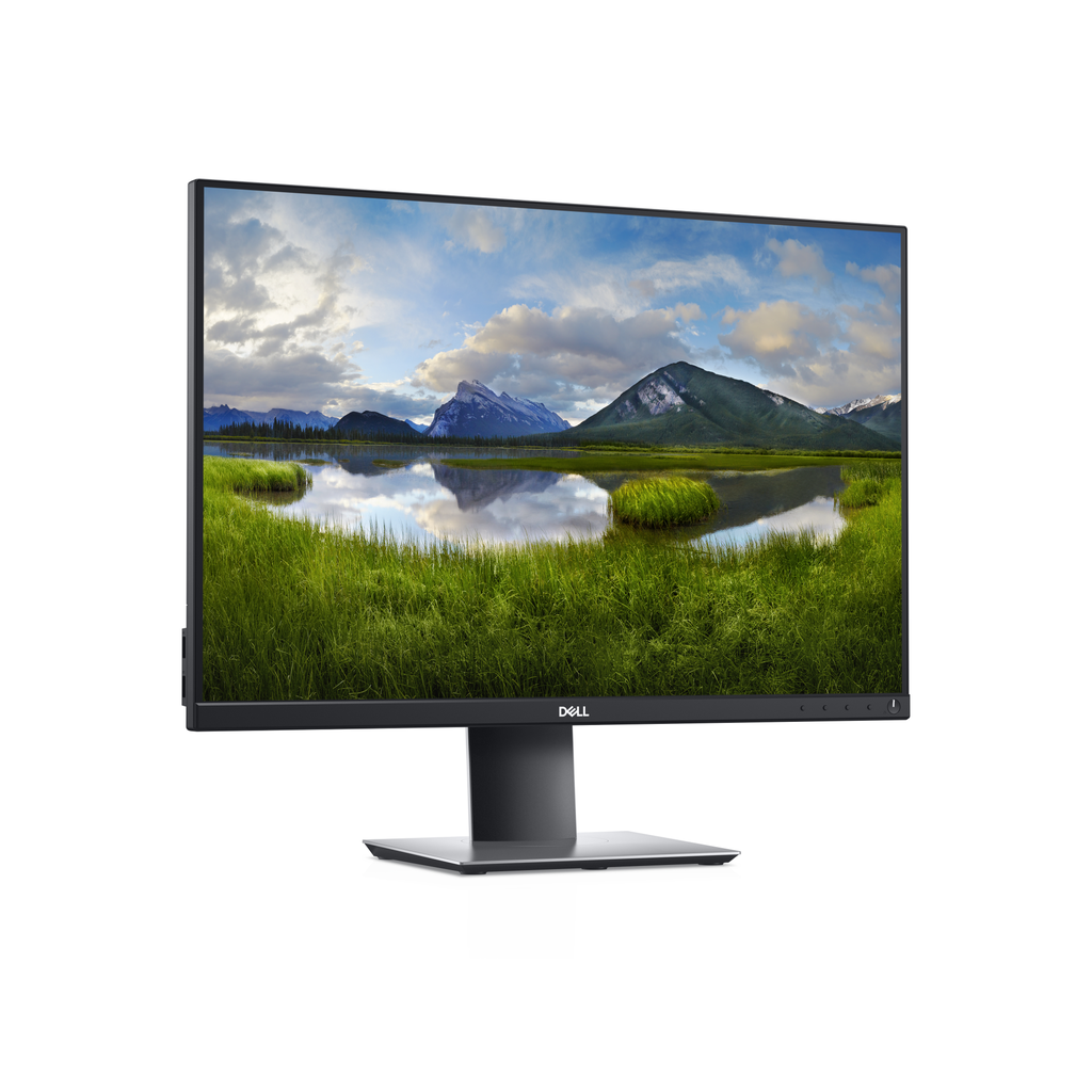 Dell 61,13cm/24" Professional P2421 WUXGA