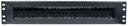 Intellinet 19" Kabeldurchführung - 2 HE - mit Bürstenleiste - schwarz - Schwarz - Stahl - 2U - 48,3 cm (19 Zoll) - 483 mm - 15 mm