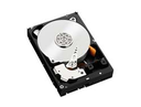 WD Black Performance Hard Drive WD1003FZEX 3,5" SATA 1.000 GB - Festplatte - 7.200 rpm 2 ms - Intern