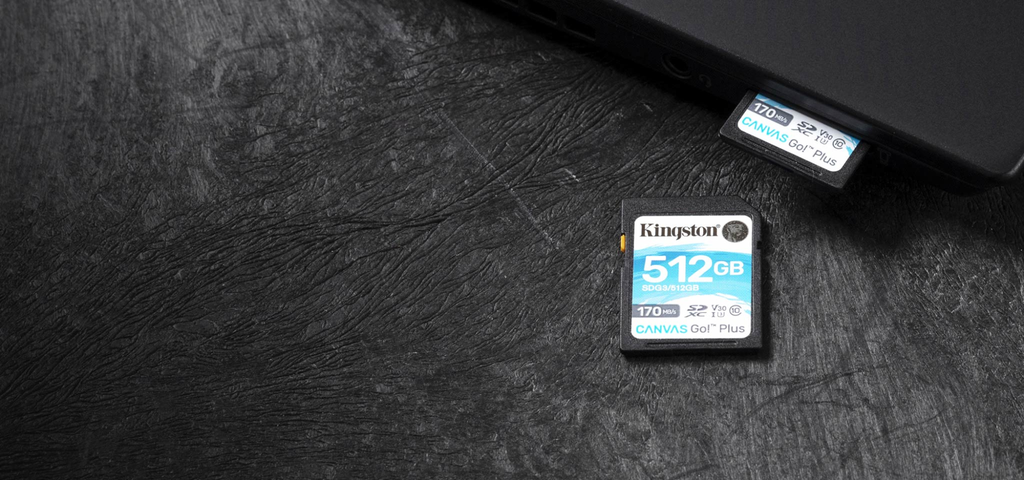 Kingston Canvas Go! Plus - 512 GB - SD - Klasse 10 - UHS-I - 170 MB/s - 90 MB/s