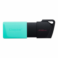 Kingston DataTraveler Exodia M - 256 GB - USB Typ-A - 3.2 Gen 1 (3.1 Gen 1) - Dia - 10 g - Schwarz - Türkis