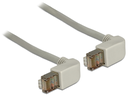 Delock 1m Cat.6 SSTP - 1 m - Cat6 - S/FTP (S-STP) - RJ-45 - RJ-45 - Grau