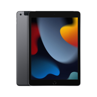 Apple iPad 10,2" (25,91cm) 256GB WIFI + LTE 256 GB Grau - 10,2" Tablet - A13 25,9cm-Display