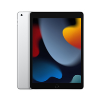 Apple iPad 64 GB Silber - 10,2" Tablet - A13 25,9cm-Display