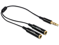Delock Kabel Audio Klinkenstecker 3,5 mm > 2 x Klinkenbuchse 25 cm - 3.5mm - Männlich - 2 x 3.5mm - Weiblich - 0,25 m - Schwarz