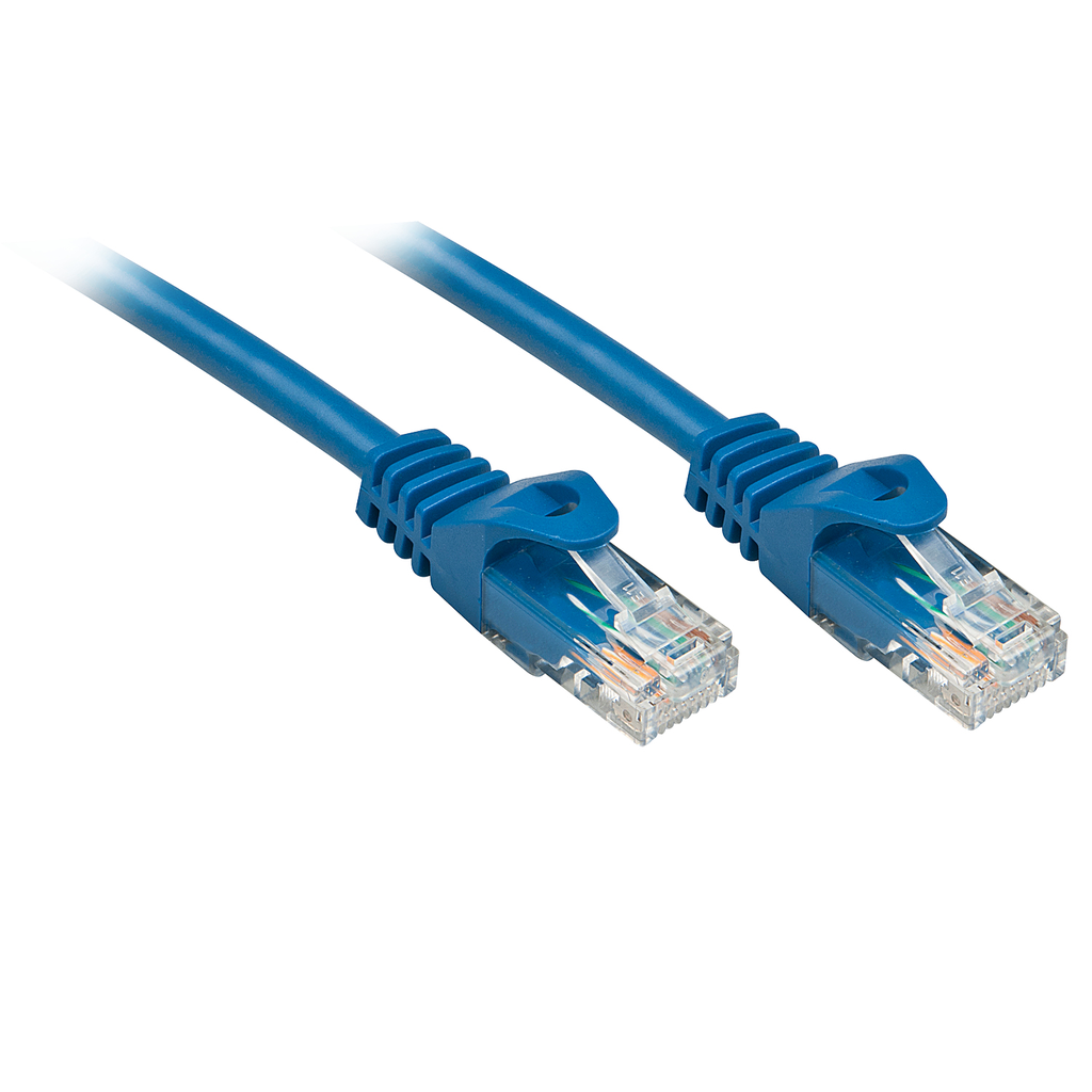 Lindy Basic - Patch-Kabel - RJ-45 (M) bis RJ-45 (M)