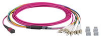 EFB Elektronik LWL-MTP/MPO-Female-LC Patchkabel OM4 LowLoss 8 Faser erika-violett 3m - Cable - Network