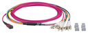 EFB Elektronik LWL-MTP/MPO-Female-LC Patchkabel OM4 LowLoss 8 Faser erika-violett 3m - Kabel - Netzwerk