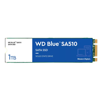 WD Blue SA510 - 1000 GB - M.2 - 560 MB/s - 6 Gbit/s