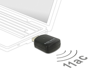 Delock Wireless LAN USB Mini Stick - n - Netzwerkkarte - WLAN - Netzwerkkarte - WLAN