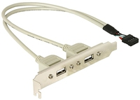 Delock Slotbracket 1x internal USB 5pin > 2x USB2.0 external - 0,3 m - USB A - Weiß