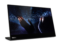 Lenovo M14t - 35,6 cm (14 Zoll) - 1920 x 1080 Pixel - Full HD - LED - 8 ms - Schwarz