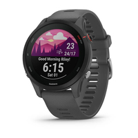 Garmin Forerunner 255 - 3.3 cm (1.3") - MIP - Touchscreen - 4 GB - GPS (satellite) - 49 g