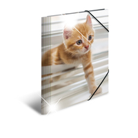 HERMA 19328 - Conventional file folder - A4 - Polypropylene (PP) - Multicolour - Glossy - Portrait