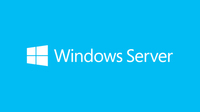 [6642533000] Microsoft Windows Server 2019 - Delivery Service Partner (DSP) - Client Access License (CAL) - 1 license(s) - 32 GB - 0.512 GB - 1.4 GHz