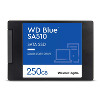WD Blue SA510 - 250 GB - 2.5" - 555 MB/s - 6 Gbit/s