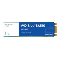 [13914742000] WD Blue SA510 - 1000 GB - M.2 - 560 MB/s - 6 Gbit/s