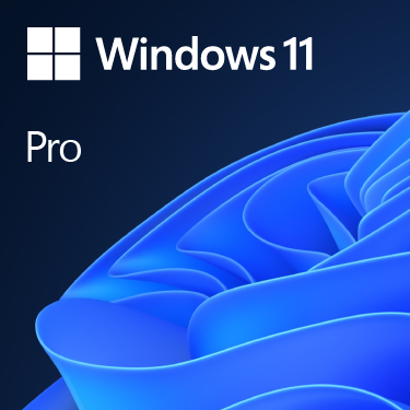 [11956480000] Microsoft MS SB Windows 11 Pro 64bit[FR] DVD - Betriebssystem