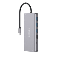 Canyon DS-12 - USB 3.2 Gen 1 (3.1 Gen 1) Type-C - 100 W - 10,100,1000 Mbit/s - Grau - MicroSD (TransFlash) - SD - 4K Ultra HD