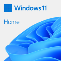 Microsoft Windows 11 Home - Englisch - 1 Lizenz(en) - 64 GB - 4,1 TB - 1000 GHz - DVD