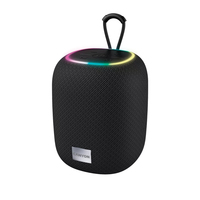 [15903270000] Canyon Bluetooth Speaker BSP-8 TF Reader/USB-C/10W black retail - Speaker - Bluetooth