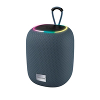 [15903272000] Canyon Bluetooth Speaker BSP-8 TF Reader/USB-C/10W grey retail - Speaker - Bluetooth