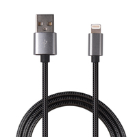 [12650402000] ACV 2GO 795810 - 1 m - USB B - Lightning